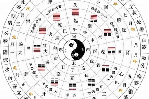 天干地支紀年|天干地支（中国古代天文历法）